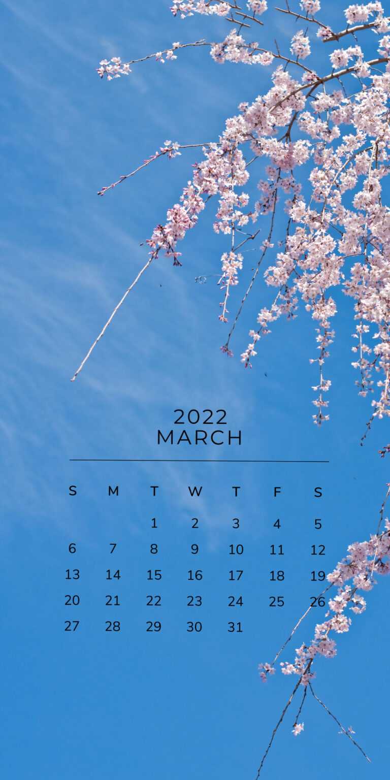 2022 March Calendar Wallpaper - iXpap