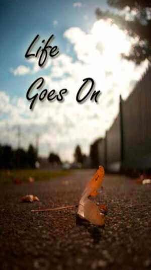 Life Goes On Wallpaper