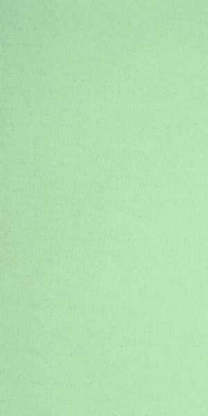 Mint Green Wallpaper