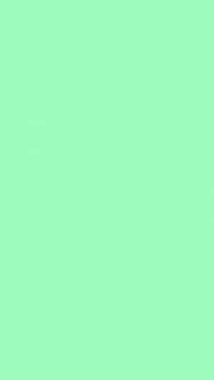 Mint Green Wallpaper