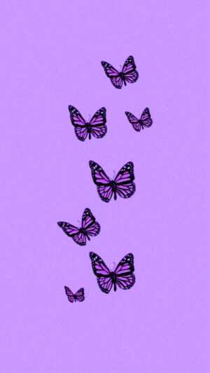 Purple Butterfly Wallpaper