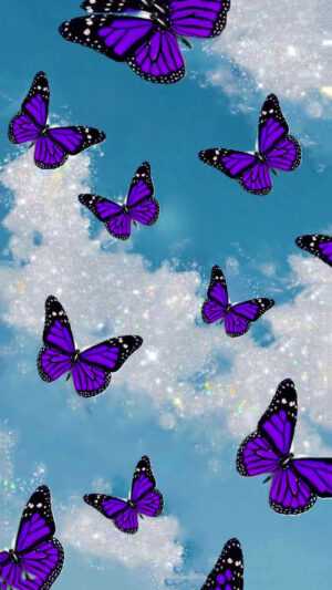 Purple Butterfly Wallpaper - iXpap