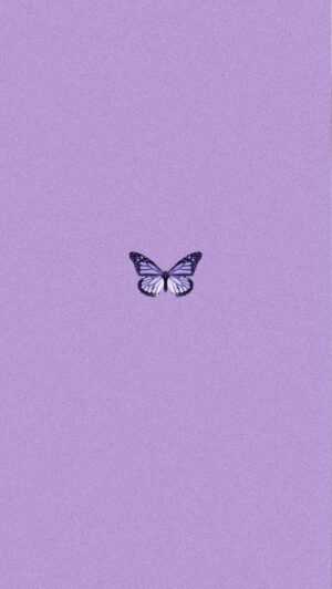 Purple Butterfly Wallpaper