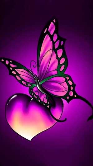 Purple Butterfly Wallpaper