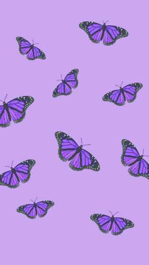 Purple Butterfly Wallpaper - iXpap