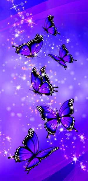 Purple Butterfly Wallpaper