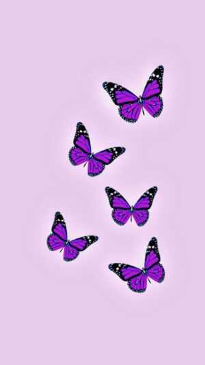 Purple Butterfly Wallpaper