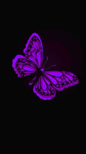 Purple Butterfly Wallpaper