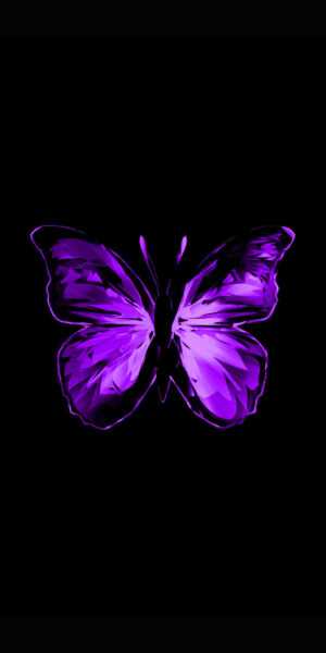 Purple Butterfly Wallpaper