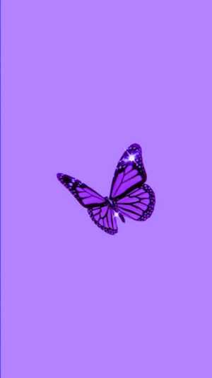 Purple Butterfly Wallpaper