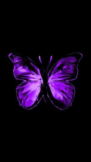 Purple Butterfly Wallpaper