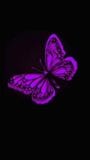 Purple Butterfly Wallpaper