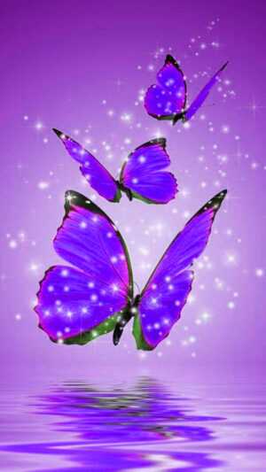 Purple Butterfly Wallpaper