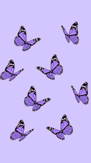 Purple Butterfly Wallpaper