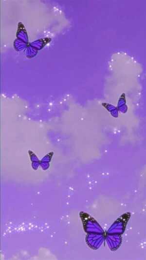 Purple Butterfly Wallpaper