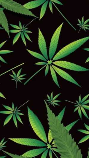 Cannabis Wallpaper