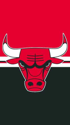 Chicago Bulls Wallpaper