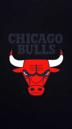 Chicago Bulls Wallpapers