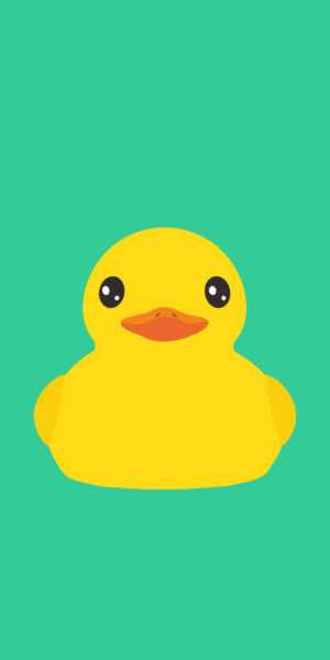 Duck Wallpaper