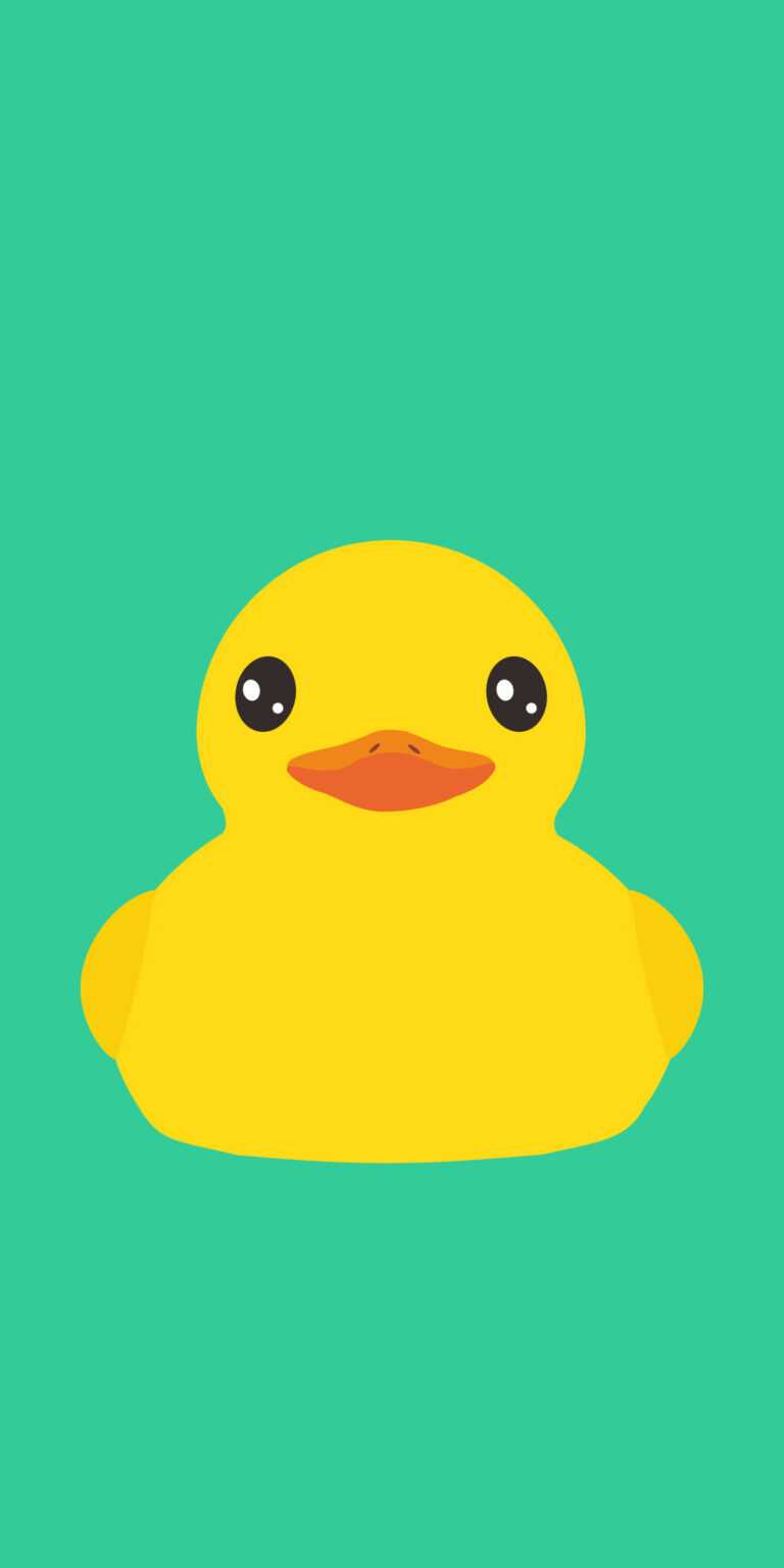 Duck Wallpaper - iXpap
