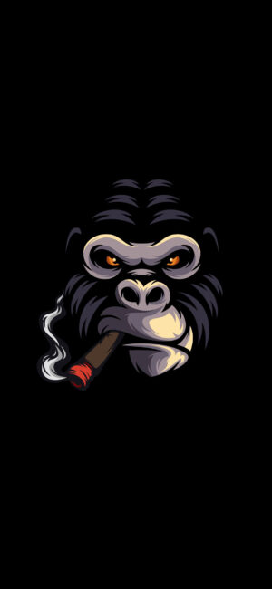 Monkey Background