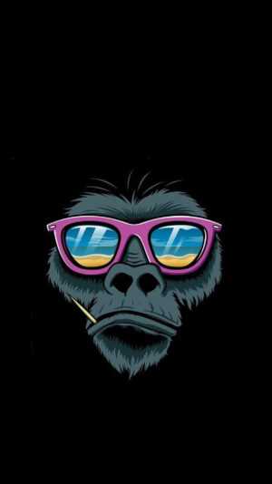 Monkey Wallpaper