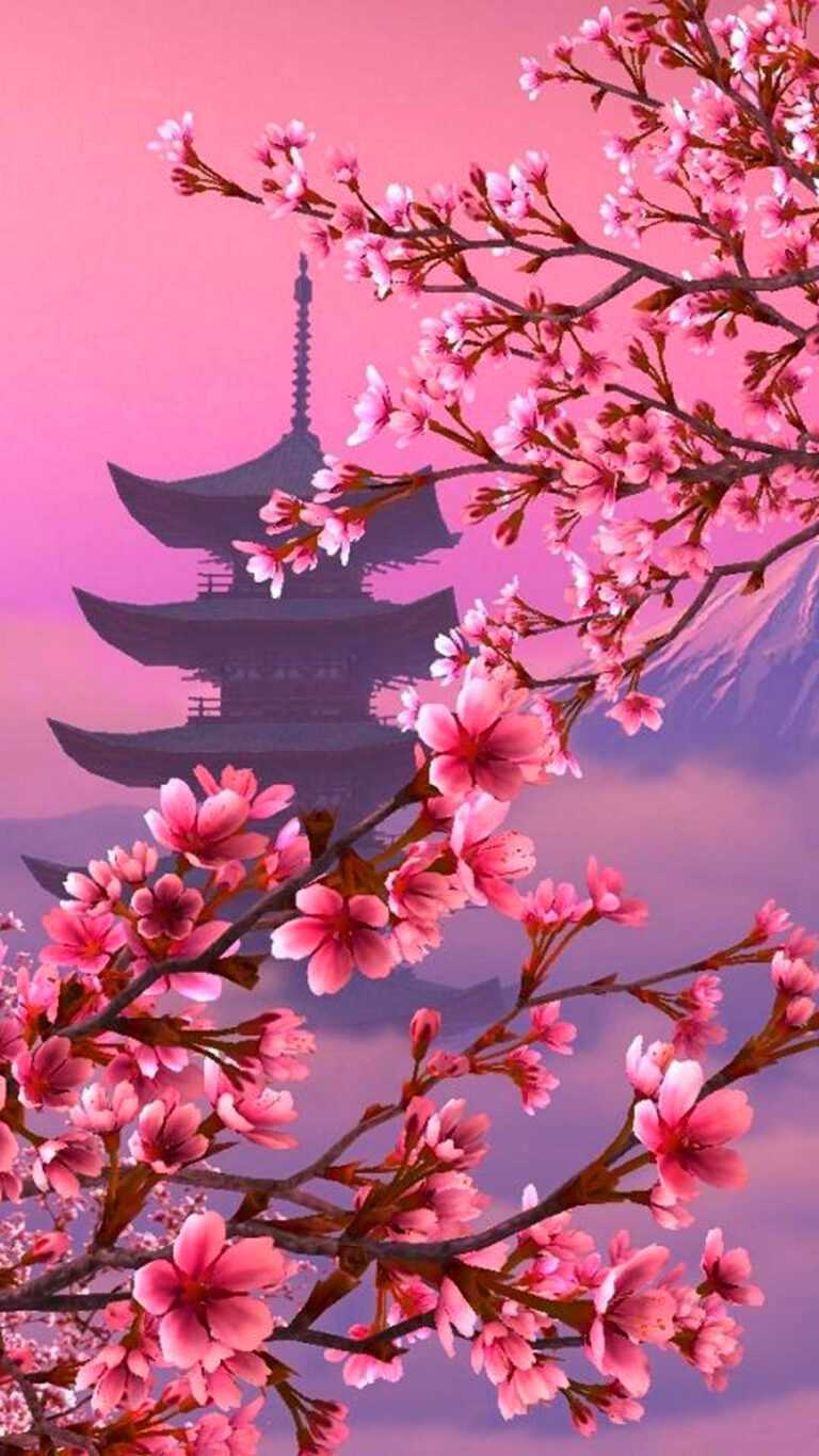 Cherry Blossom Wallpaper - iXpap