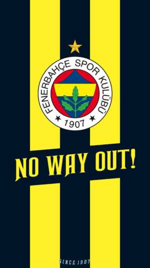 Fenerbahce Wallpaper