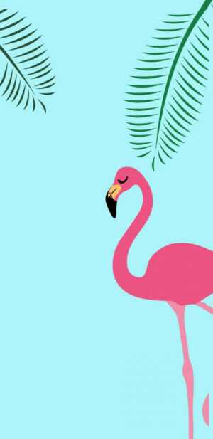 Flamingo Wallpaper