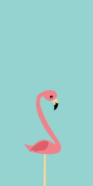 Flamingo Wallpaper