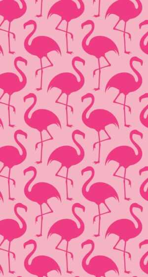 Flamingo Wallpaper