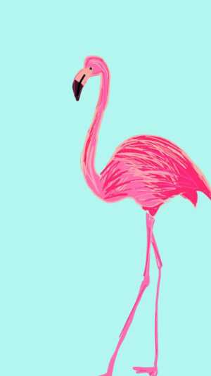 Flamingo Wallpaper