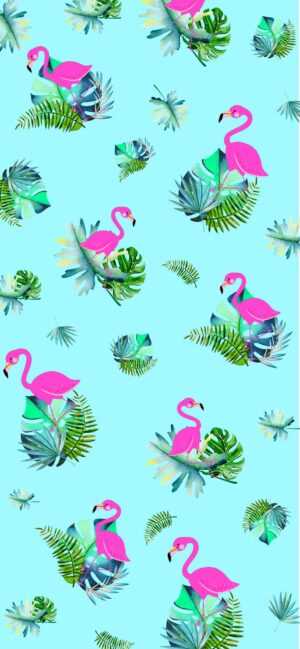 Flamingo Wallpaper