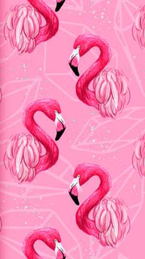 Flamingo Wallpaper