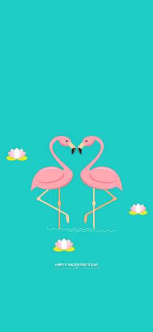 Flamingo Wallpaper