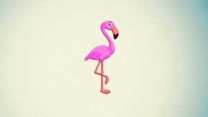 Flamingo Wallpaper HD