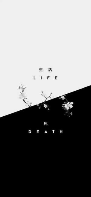 Life And Death Wallpaper