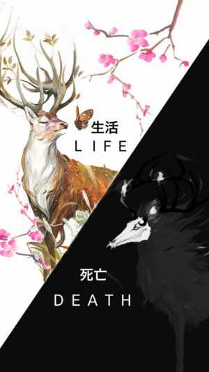 Life And Death Wallpaper