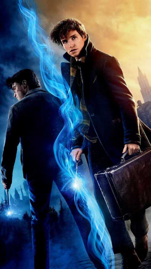 Newt Scamander Wallpaper iXpap