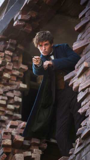 Newt Scamander Wallpaper