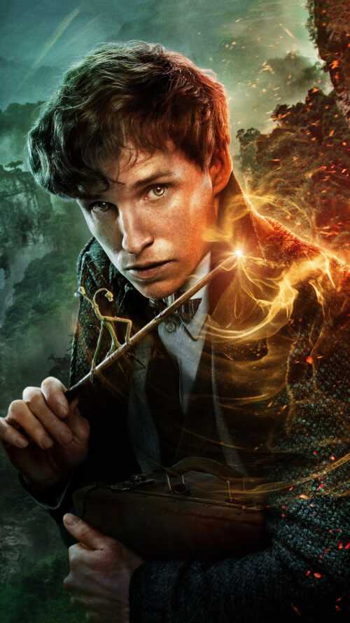 Newt Scamander Wallpaper iXpap