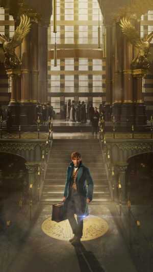 Newt Scamander Wallpaper