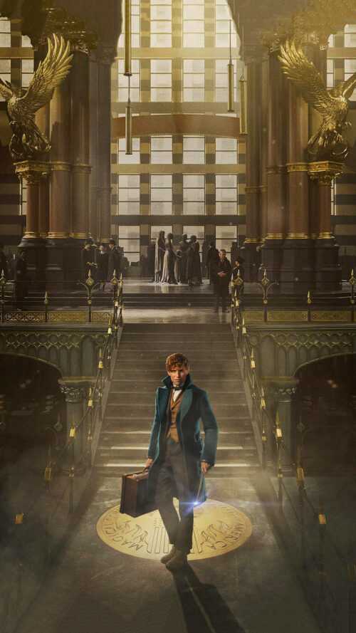 Newt Scamander Wallpaper iXpap