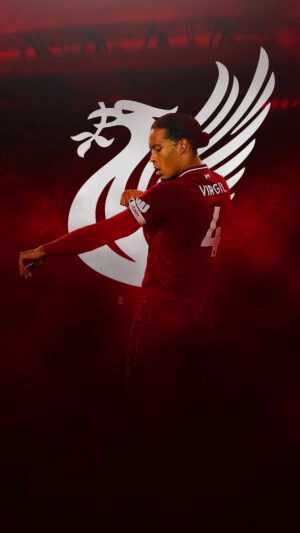 Virgil van Dijk Wallpaper