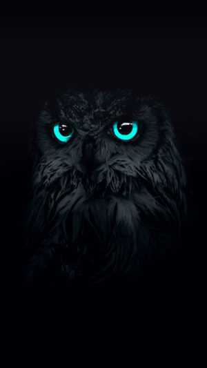 Owl Wallpaper