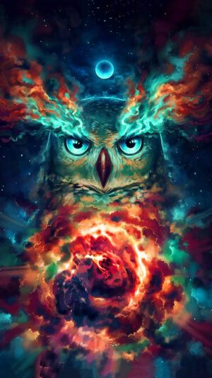 Owl Wallpaper