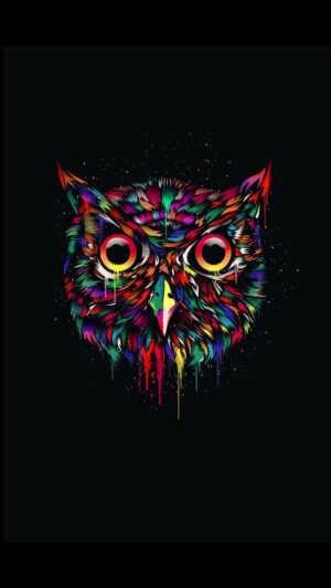 Owl Wallpaper iPhone