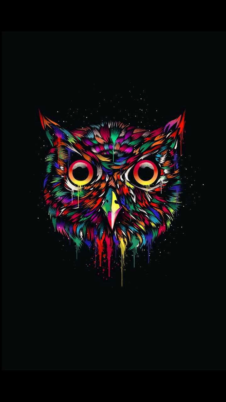 Owl - Wallpaper Sun