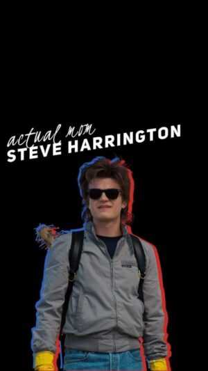 Steve Harrington Wallpaper