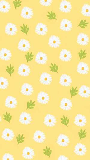 Daisy Wallpaper